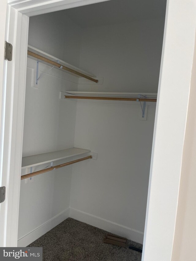 spacious closet with carpet flooring