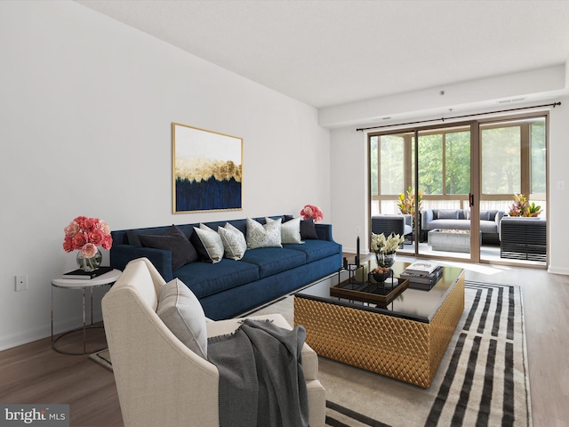 living room featuring hardwood / wood-style floors