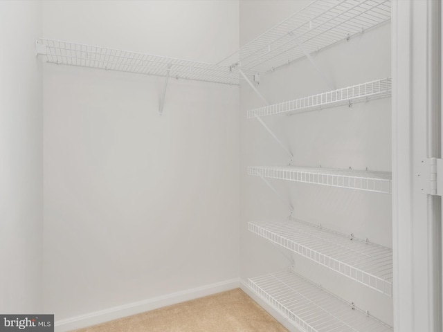 spacious closet with carpet flooring