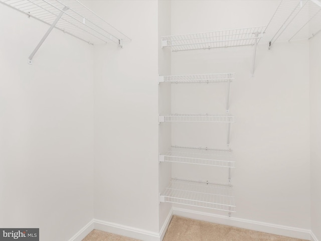 spacious closet featuring light carpet