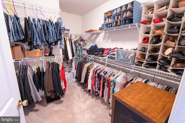 spacious closet featuring carpet flooring