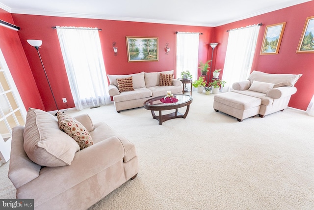 living room with crown molding and carpet floors