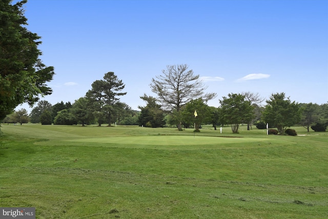 surrounding community featuring a yard