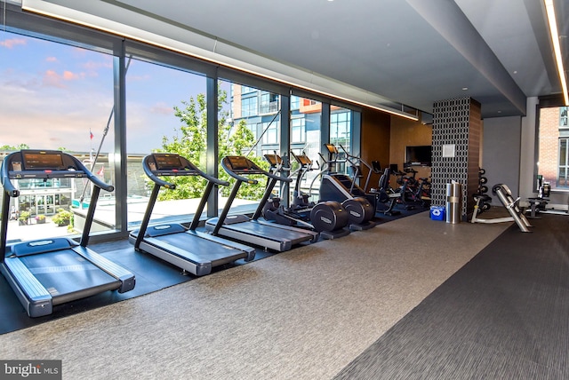 workout area with a wealth of natural light