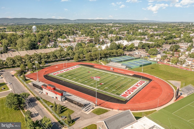 aerial view