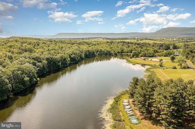 birds eye view of property featuring a water and mountain view