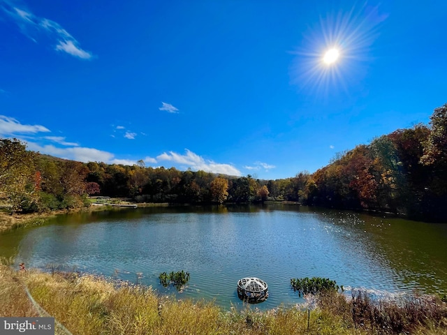 view of water feature