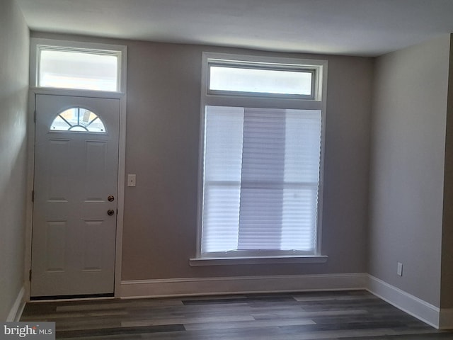 foyer featuring dark wood-type flooring