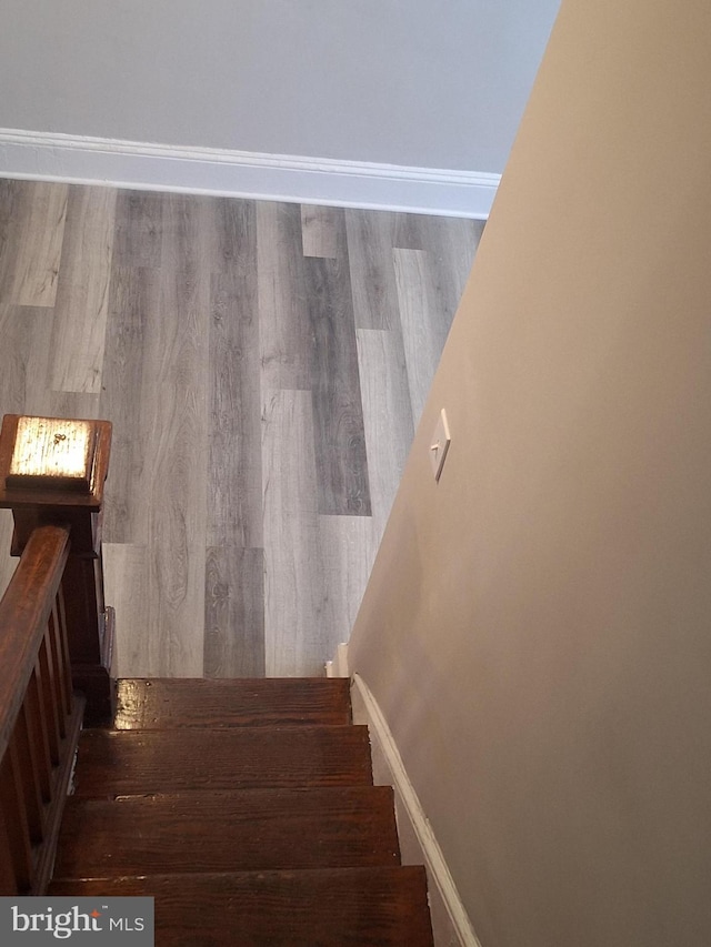 staircase featuring hardwood / wood-style floors