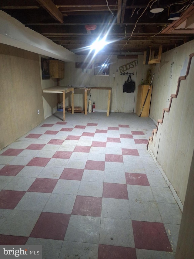 basement with wooden walls