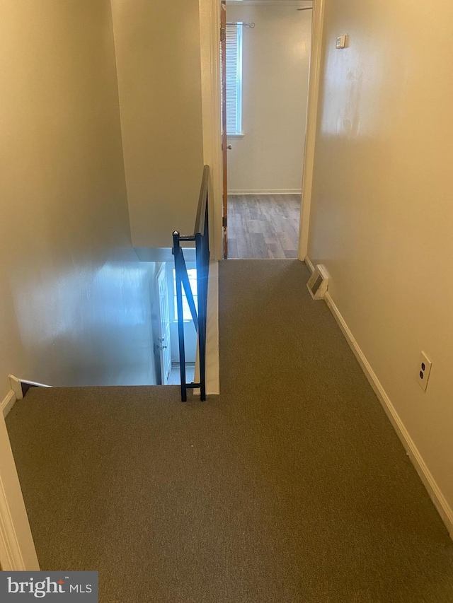 stairs with carpet and plenty of natural light