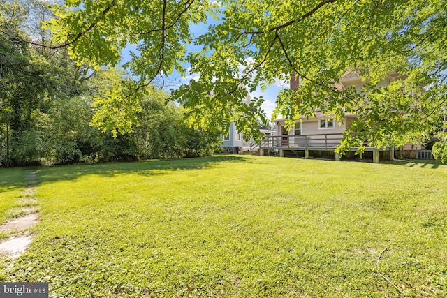 75 Church St, Beverly, NJ 08010 - view of yard