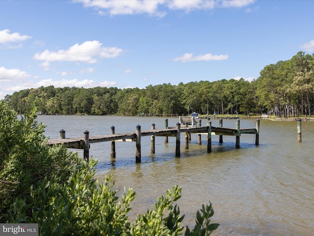 view of dock featuring a water view