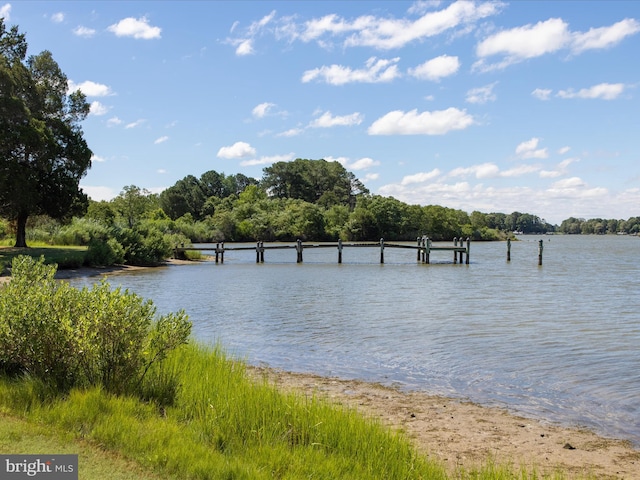 water view featuring a boat dock