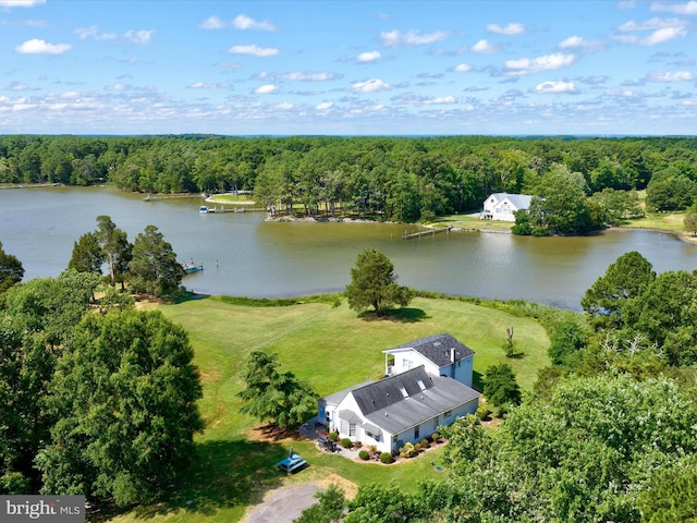 drone / aerial view with a water view