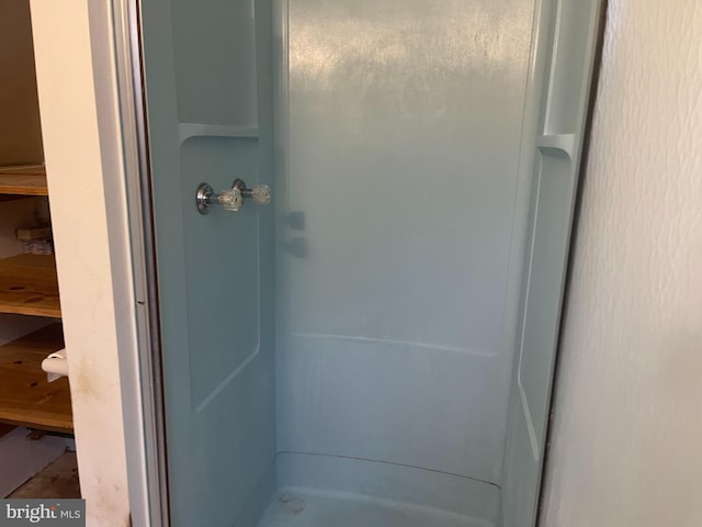 bathroom with a shower