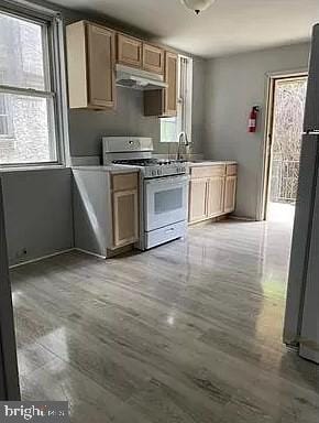 kitchen with ventilation hood, a healthy amount of sunlight, sink, and white gas range oven