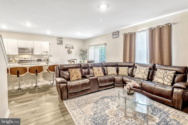 living room featuring light hardwood / wood-style flooring