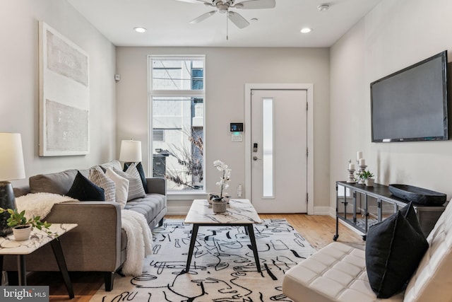 living room with ceiling fan and light wood-type flooring