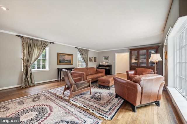 living room featuring hardwood / wood-style flooring and ornamental molding