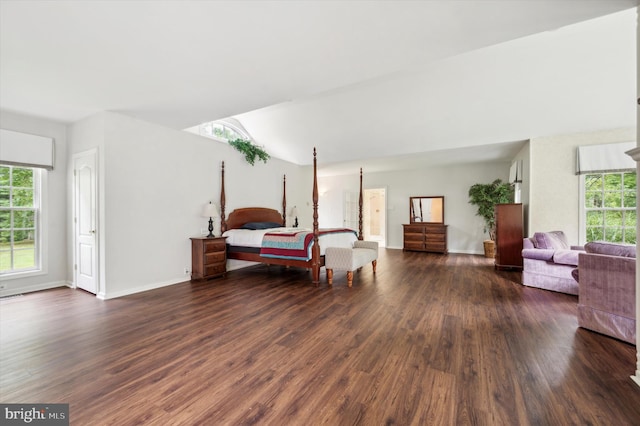 bedroom featuring multiple windows and dark wood-type flooring