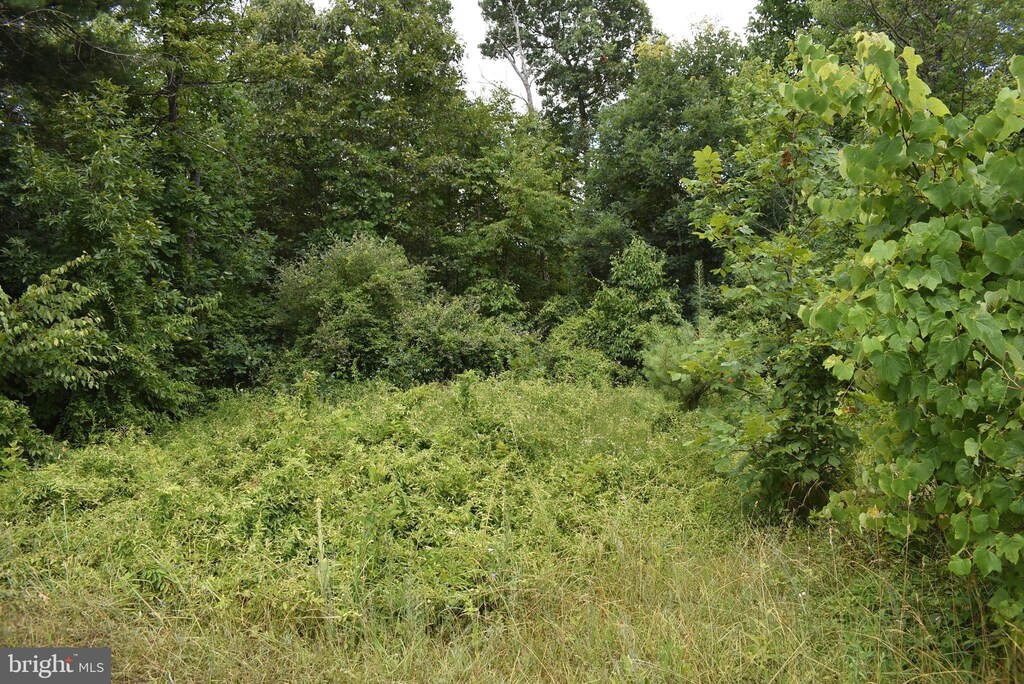 Mckees Gap, Lot Warfordsburg, PA 17267