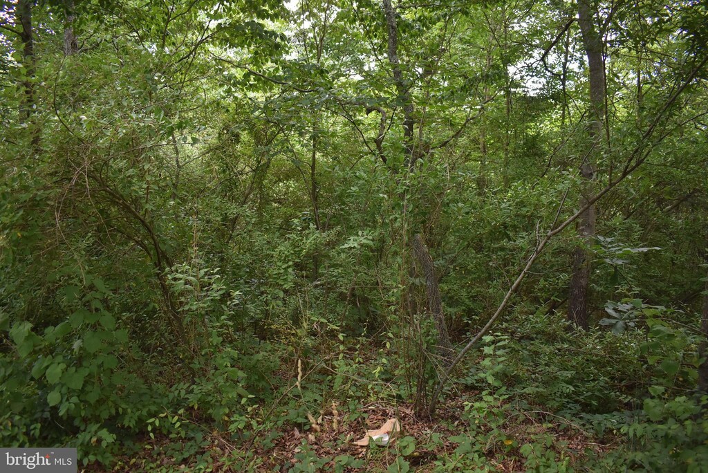 Mckees Gap, Lot Warfordsburg, PA 17267