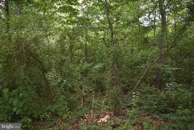 Mckees Gap, Lot Warfordsburg, PA 17267