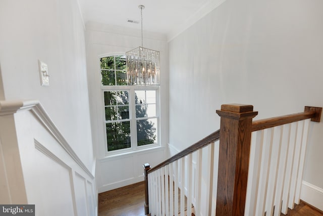 staircase featuring hardwood / wood-style floors, a notable chandelier, a healthy amount of sunlight, and crown molding