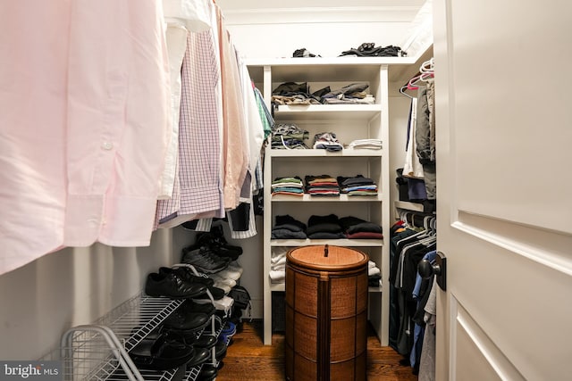 walk in closet with dark wood-type flooring