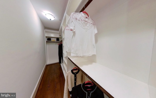 spacious closet featuring dark hardwood / wood-style flooring