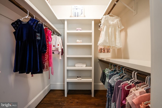 spacious closet with dark hardwood / wood-style floors