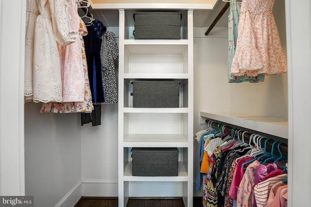 spacious closet with hardwood / wood-style flooring