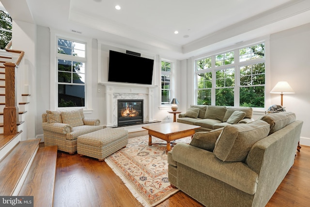 living room with a raised ceiling, hardwood / wood-style floors, and a high end fireplace