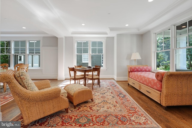 sitting room with a raised ceiling, hardwood / wood-style floors, and a healthy amount of sunlight