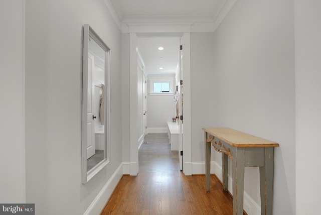 hallway with crown molding and hardwood / wood-style flooring