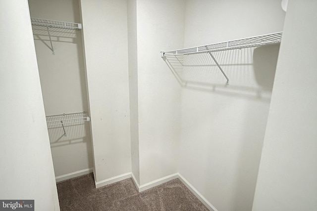 spacious closet with carpet flooring