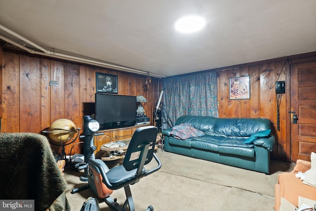 exercise room featuring wood walls and carpet floors