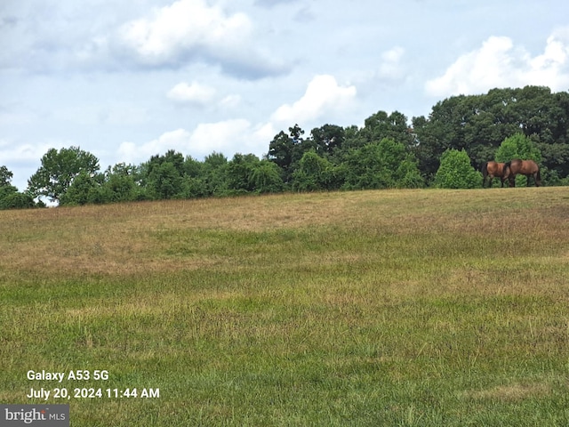 view of nature with a rural view