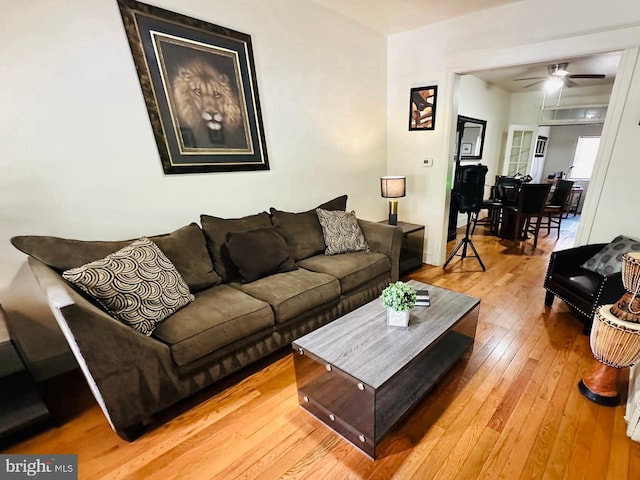 living room with ceiling fan and wood-type flooring