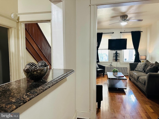 living room featuring radiator heating unit, ceiling fan, and dark hardwood / wood-style flooring