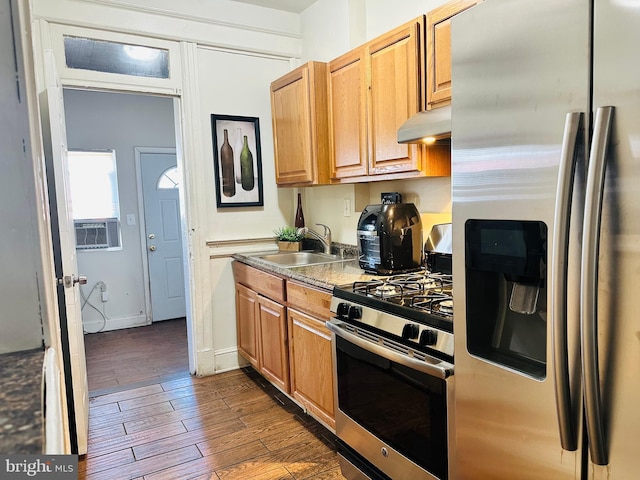 kitchen featuring sink, dark wood-type flooring, ventilation hood, and stainless steel appliances