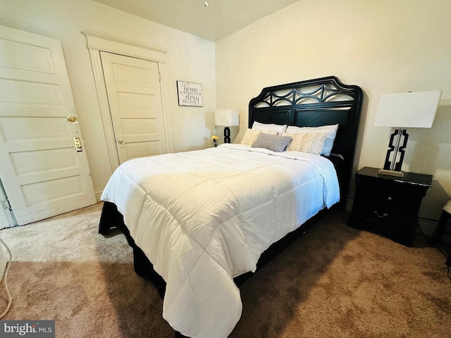 carpeted bedroom featuring a closet