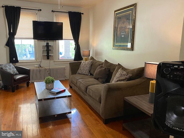 living room with radiator heating unit and hardwood / wood-style floors