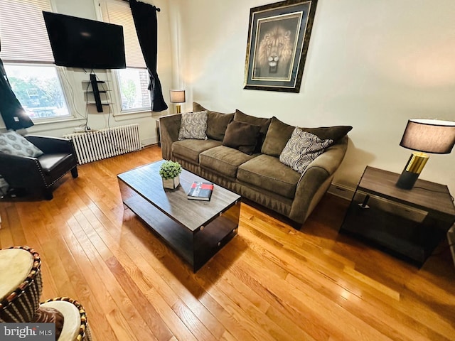 living room featuring light wood-type flooring