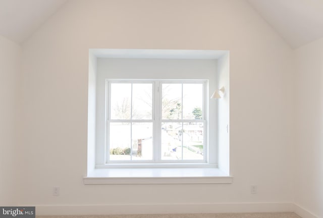 additional living space featuring carpet and vaulted ceiling