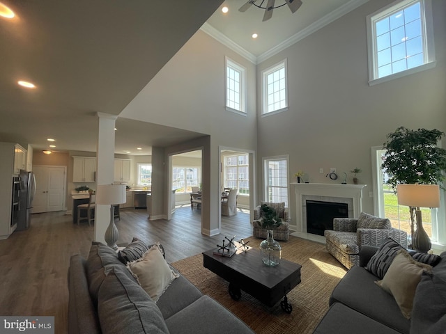 living room with ceiling fan, crown molding, a high ceiling, and hardwood / wood-style flooring