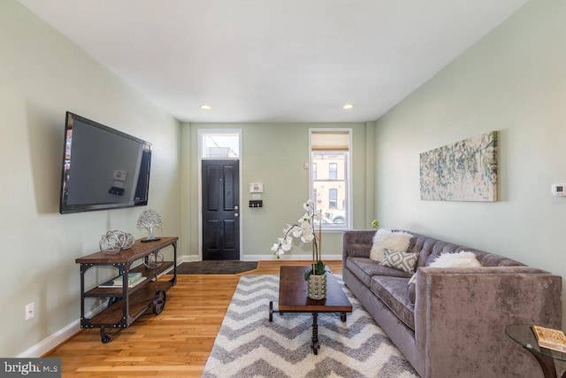 living room with wood-type flooring