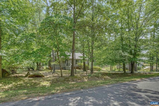 view of property hidden behind natural elements