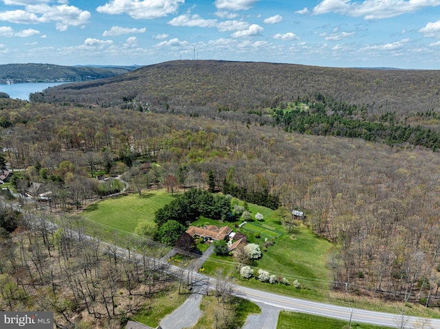 drone / aerial view with a water and mountain view